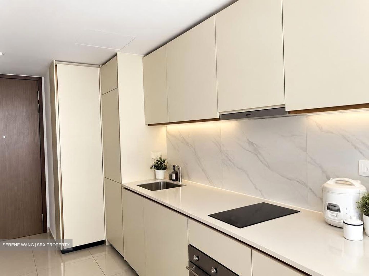 Kopar At Newton (D9), Apartment #612909161